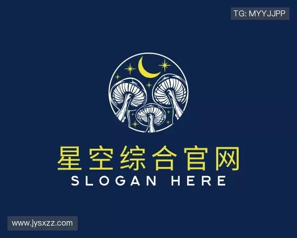 解读星空综合官网